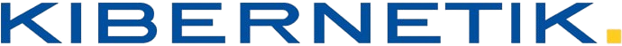 Kibernetik